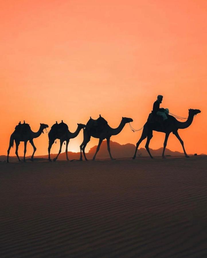 Rum Joharh Luxury Camp Wadi Rum Luaran gambar